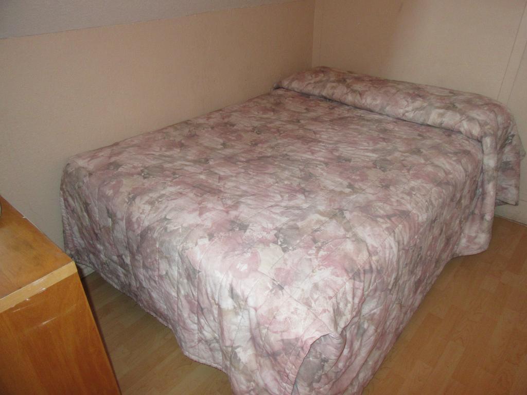 Turtle Hostel