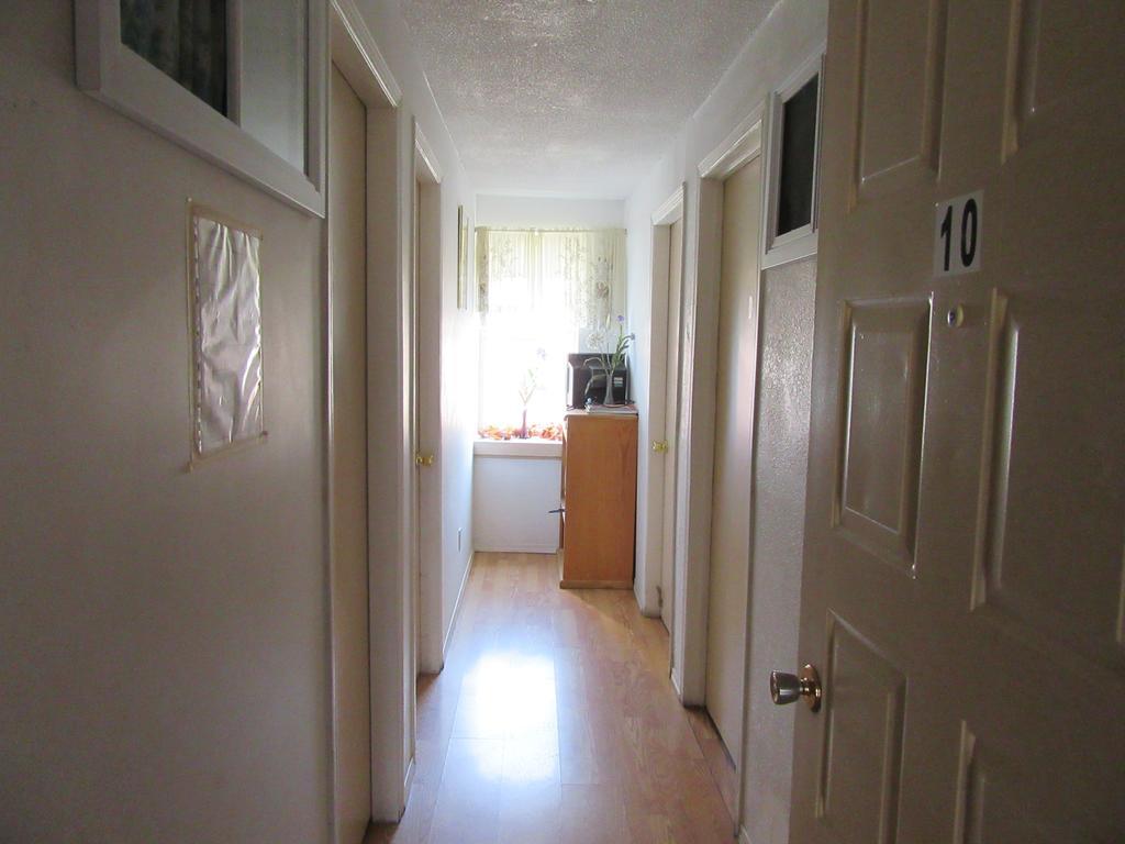 Turtle Hostel