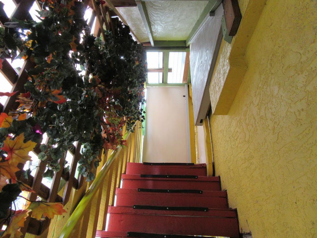 Turtle Hostel Victoria