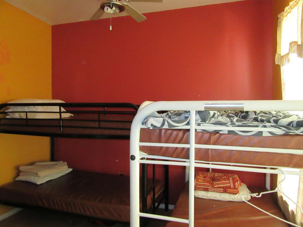 Turtle Hostel *