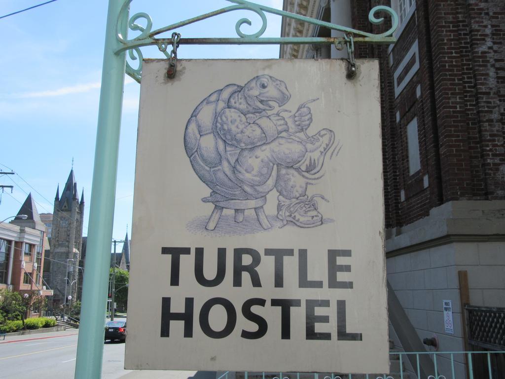 Hostel Turtle