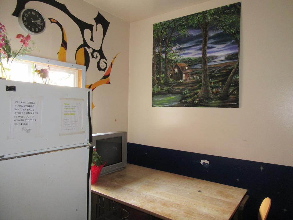 Turtle Hostel *
