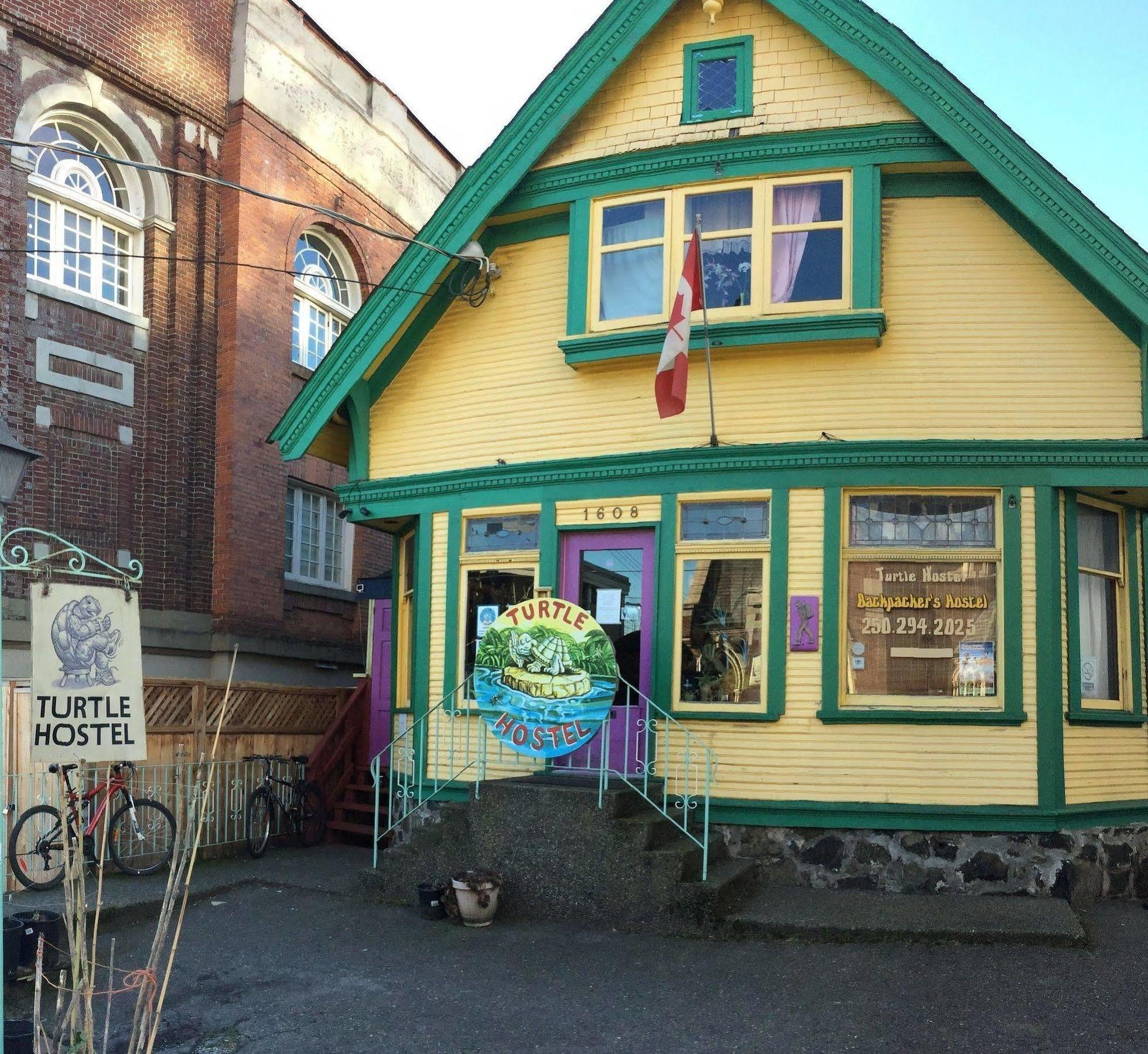 Hostel Turtle *