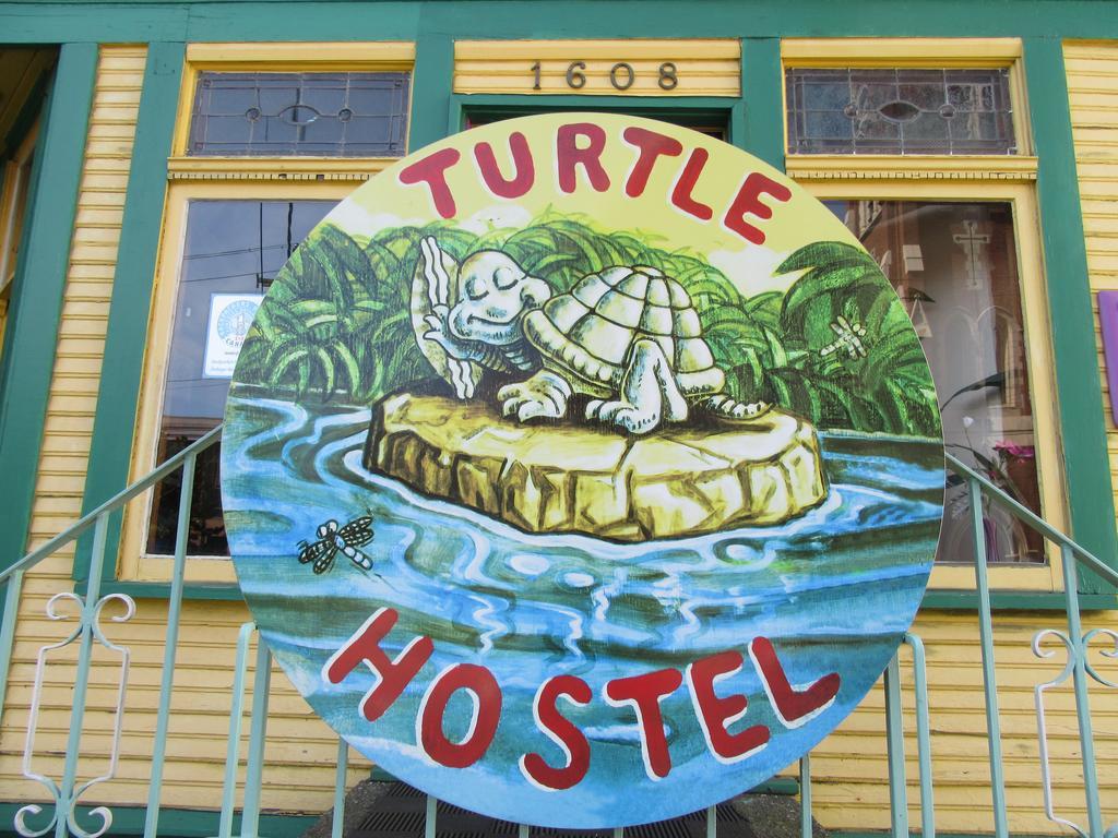 Ostello Turtle *