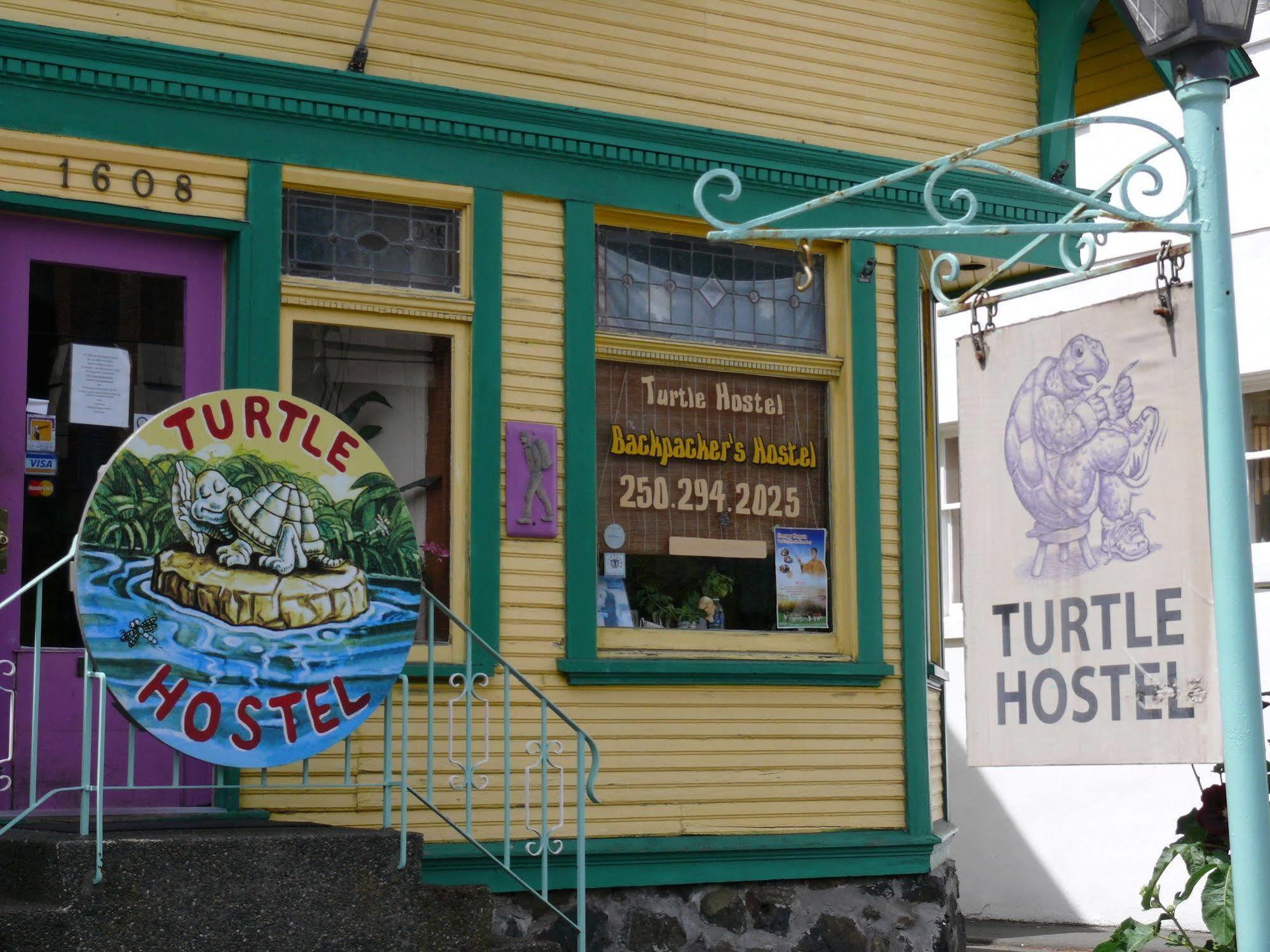 Turtle * Victoria